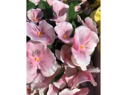 Umělé macešky světle růžové a