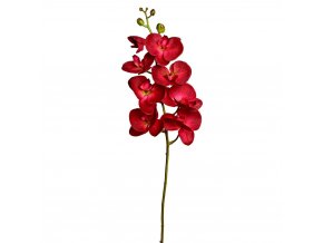 ČERVENÁ ORCHIDEJ 102CM