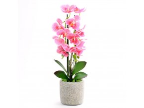 RŮŽOVÁ ORCHIDEj V KVETINÁČI 3VÝH 65CM