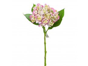HORTENZIE RŮŽOVÁ. 49CM