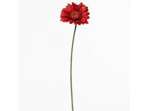 GERBERA ČERVENÁ 45CM