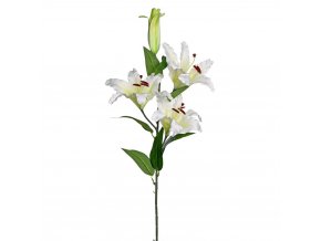Lilie bílá 115cm