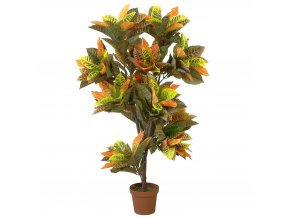 CROTON 130 cm