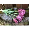 Umělé tulipány fialové papouškovité 46 cm a