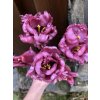 Umělé tulipány fialové 46 cm