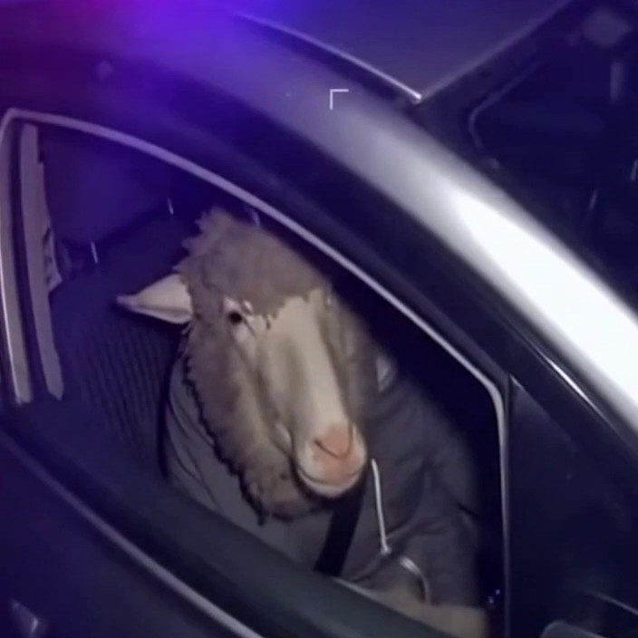 Beskydská zásahovka