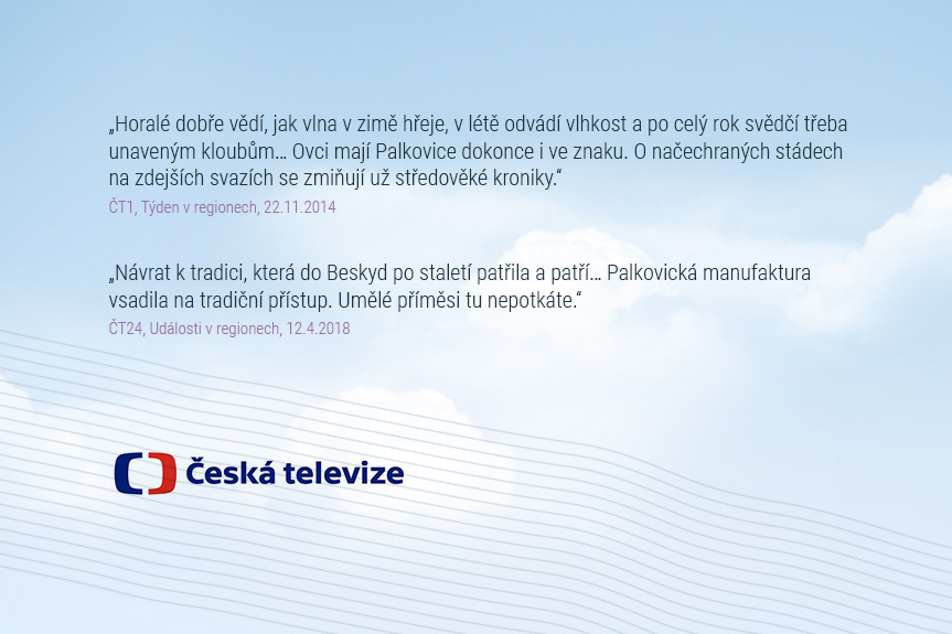 Česká televize