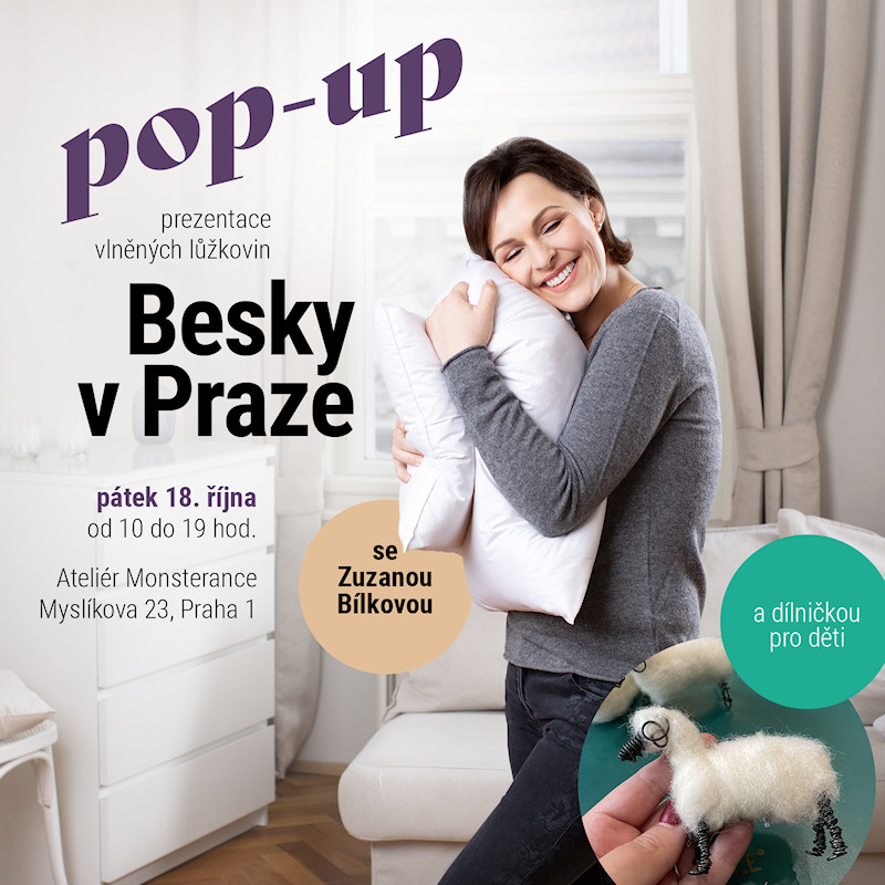 popup800