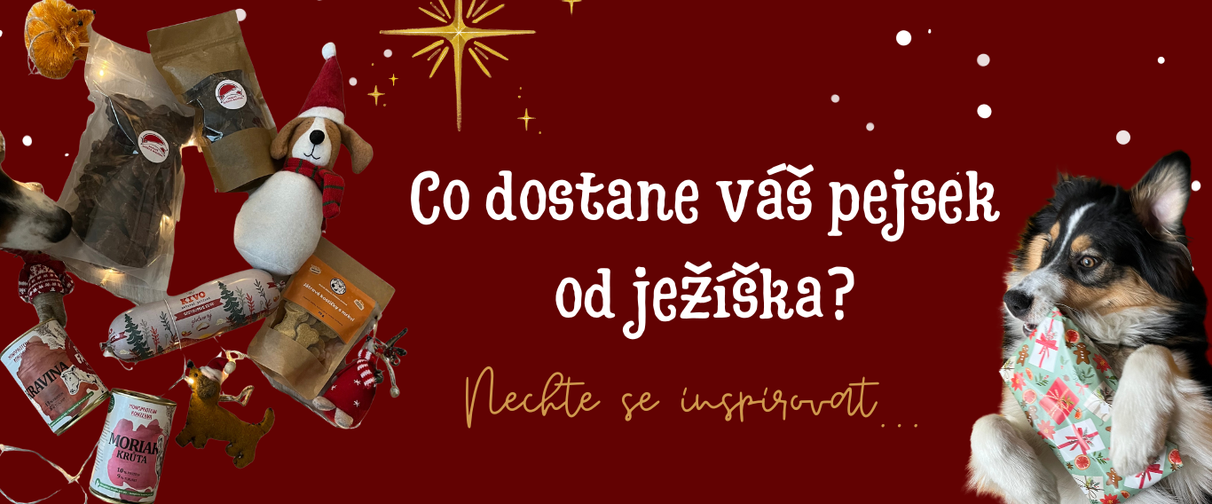 Vánoční dárky pro psy