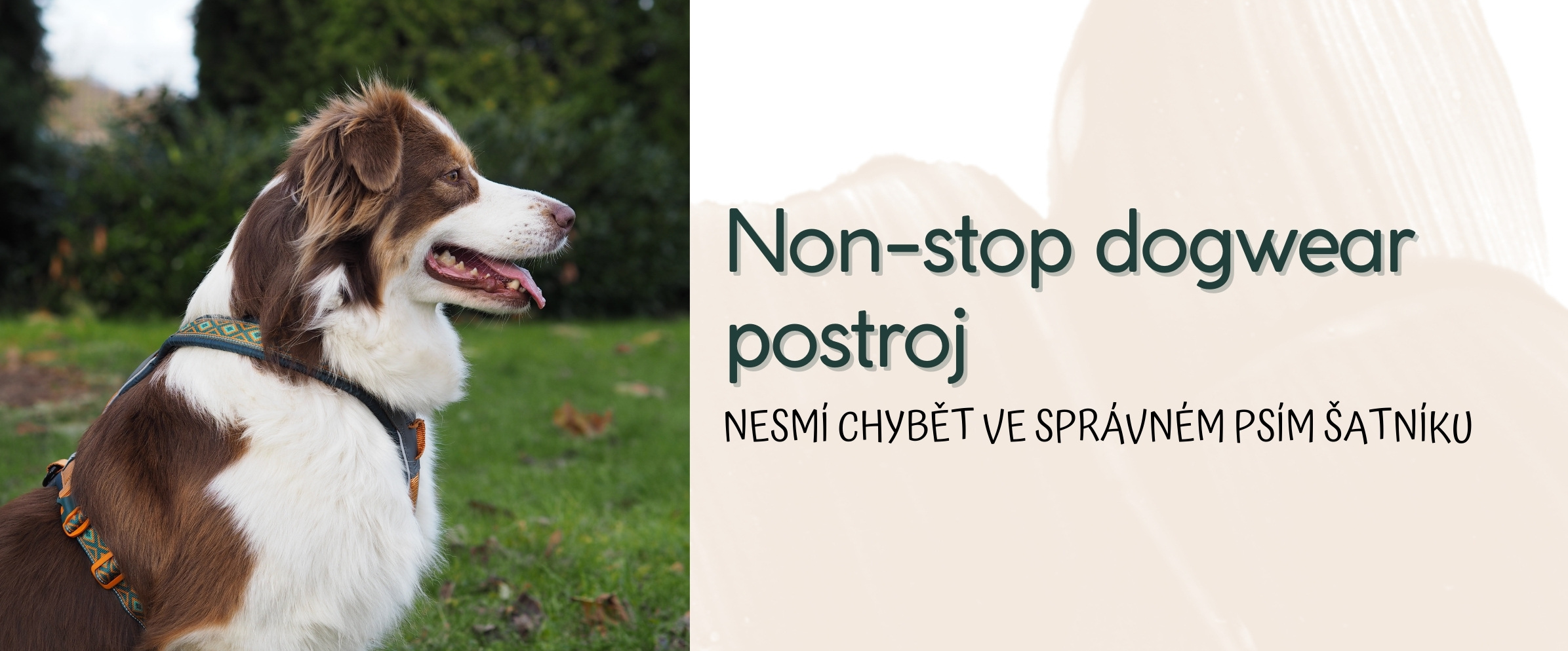 postroje
