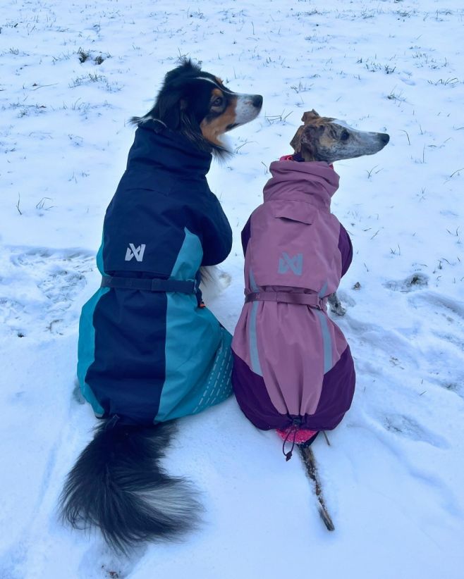 ❄️🐾 ZIMA JE TU! A tvůj pejsek může být stylově i funkčně připravený! 🐾❄️ Když teploty klesají a sníh se vrství… není nad...