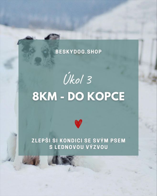 🥾 VÝZVA 3 / 6 ~ DO KOPCE – 8 km ⛰️ Začíná to být výzva! Trochu potrápíme naše nohy! 🥾 📏 Úkol: Ujdi 8 kilometrů, z toho...