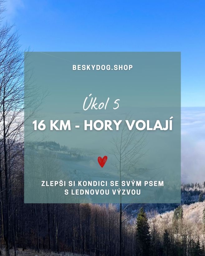 🥾 VÝZVA 5 / 6 ~ HORY VOLAJÍ – 16 km ⛰️🐾 Tahle procházka už není procházka, ale malá výprava! 📏 Úkol: Ujdi 16 kilometrů,...