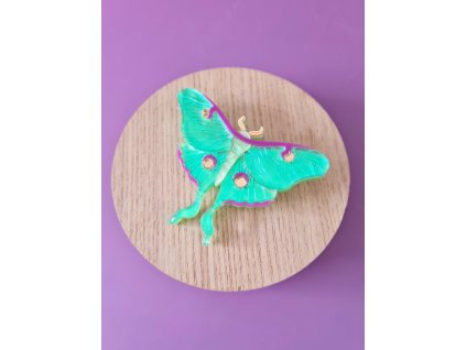 20250729 102726 scaled