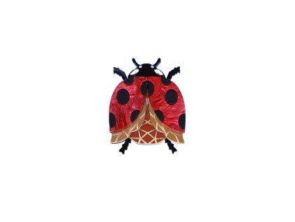 LADYBIRDBROOCHNEW