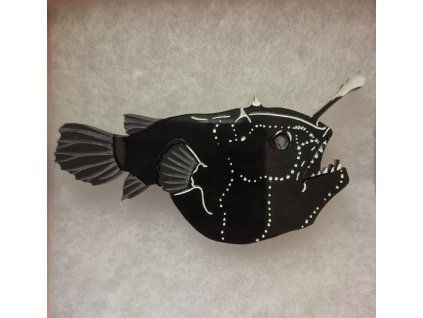 Kimchi and Coconut Brož Mořský ďas