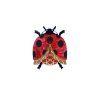 LADYBIRDBROOCHNEW
