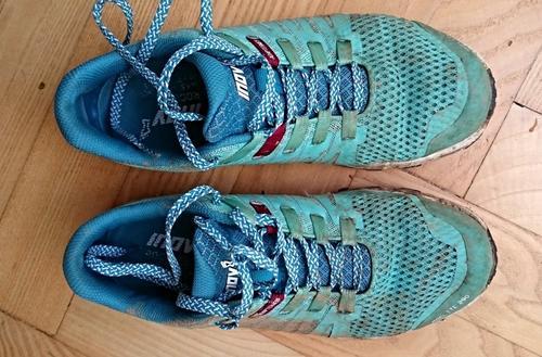 Test: Inov-8 Roclite 290 na orienťáckých tratích 