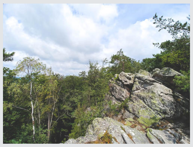 Tipy na trailové běhy: Trailová Vysočina 