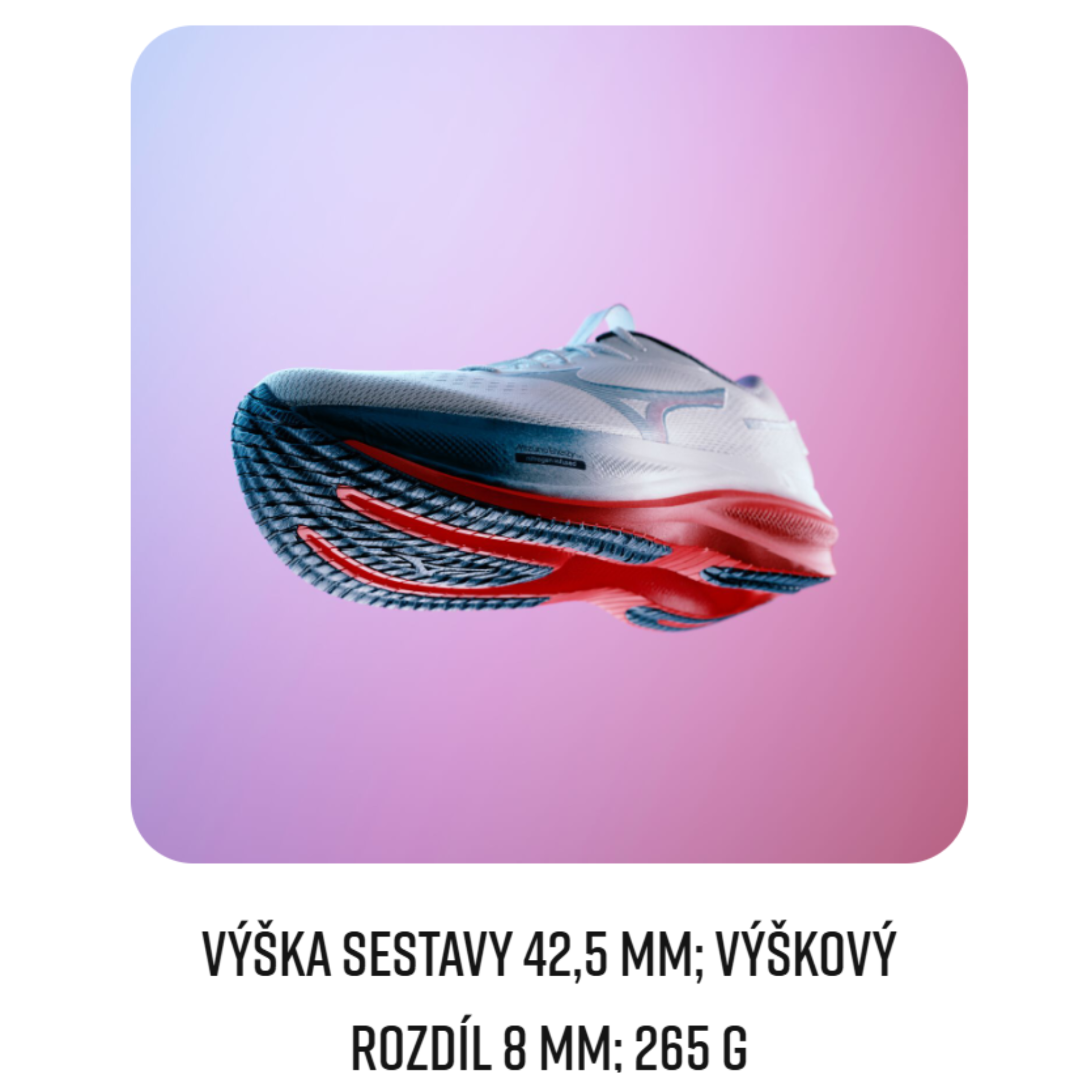 Mizuno Wave Rider 30 