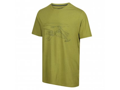 Inov-8 Graphic Tee Helvellyn green triko pánské