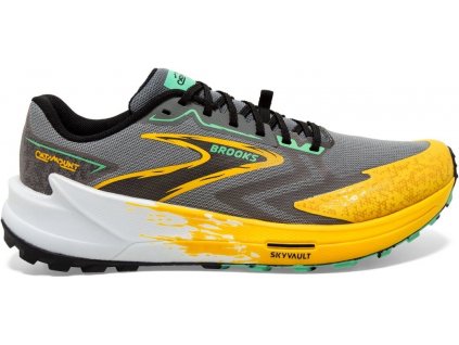 Brooks Catamount 3 Lemon Chrome Sedona Sage pánské (1)