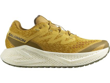 Salomon Aero Glide 3 GRVL spicy mustard vanila ice deep lichen green pánské (4)