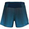 Crazy Short Storm zenith šortky pánské (3)
