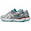 Asics Gel-Nimbus 22 sheet rock white dámské