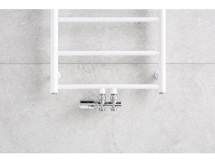 1769005248 cs duo 01