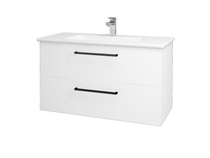 Koupelnová skříňka GIO SZZ2 100 - N01 Bílá lesk / Úchytka T06 / M01 Bílá mat