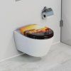 wc africa 9