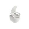 ravak wc chrome aquaspin set x03121 05 img1