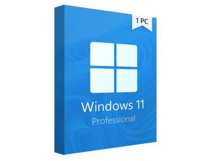Windows 11 Professional - online licence 1 PC
