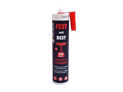 Fest