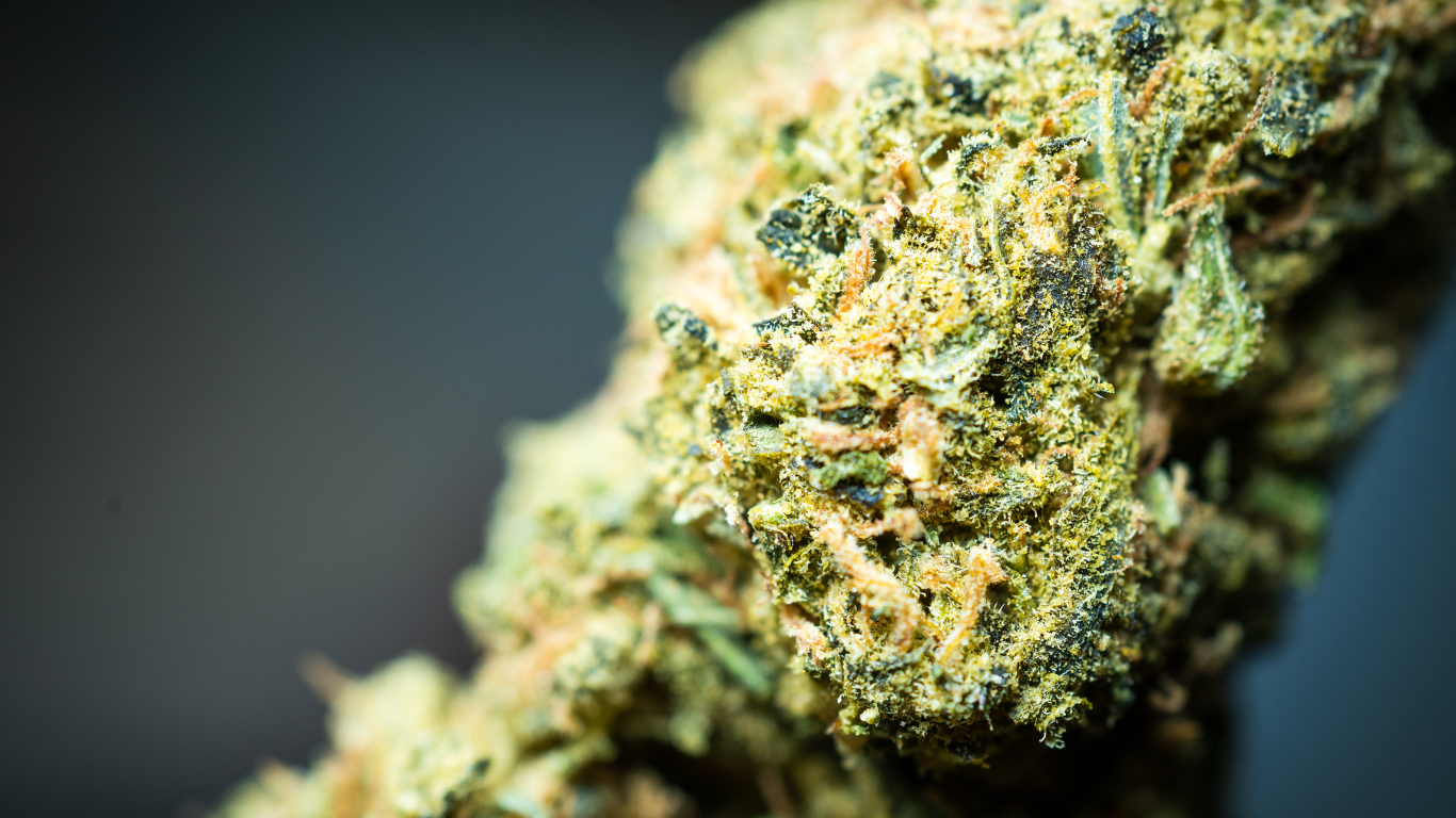Nejhezčí Marihuana na Světě