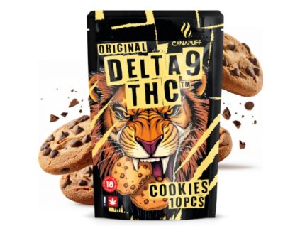 Návrh bez názvu 2025 10 01T084909.124