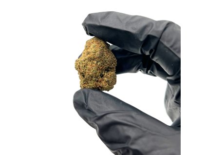 Návrh bez názvu 2025 11 11T085154.324