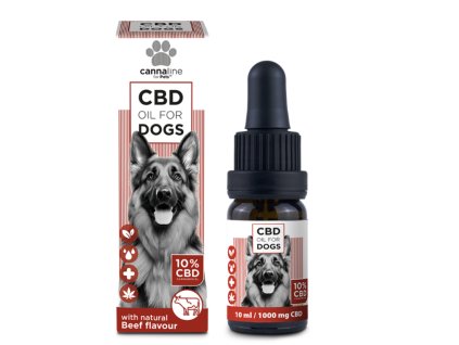 Návrh bez názvu 2025 10 21T111001.306