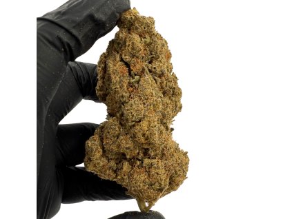 Návrh bez názvu (2)