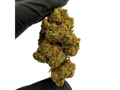 Návrh bez názvu 2025 12 26T135052.521