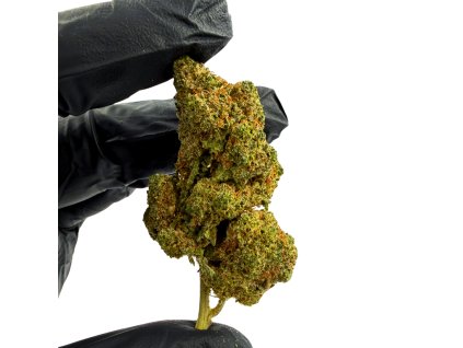 Návrh bez názvu 2025 12 26T135954.755