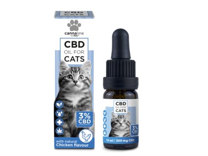 Návrh bez názvu 2025 12 26T170826.167