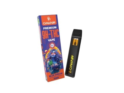 Návrh bez názvu 2026 01 15T130138.732