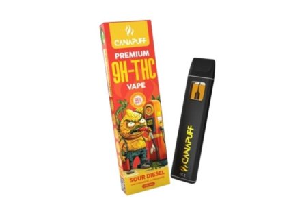 Návrh bez názvu 2026 01 15T130814.614