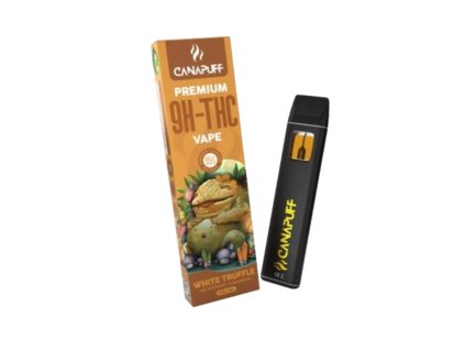 Návrh bez názvu 2026 01 15T131107.184