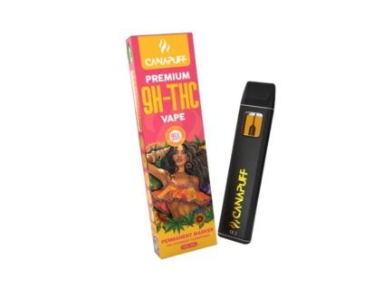 Návrh bez názvu 2026 01 15T131514.214