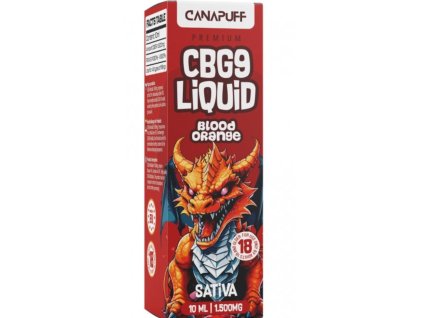 Návrh bez názvu 2026 01 15T134756.113