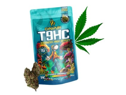 Návrh bez názvu 2026 01 15T140330.914