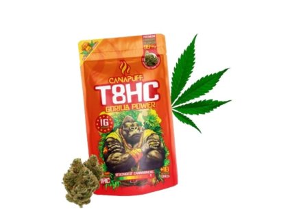 Návrh bez názvu 2026 01 15T141044.336